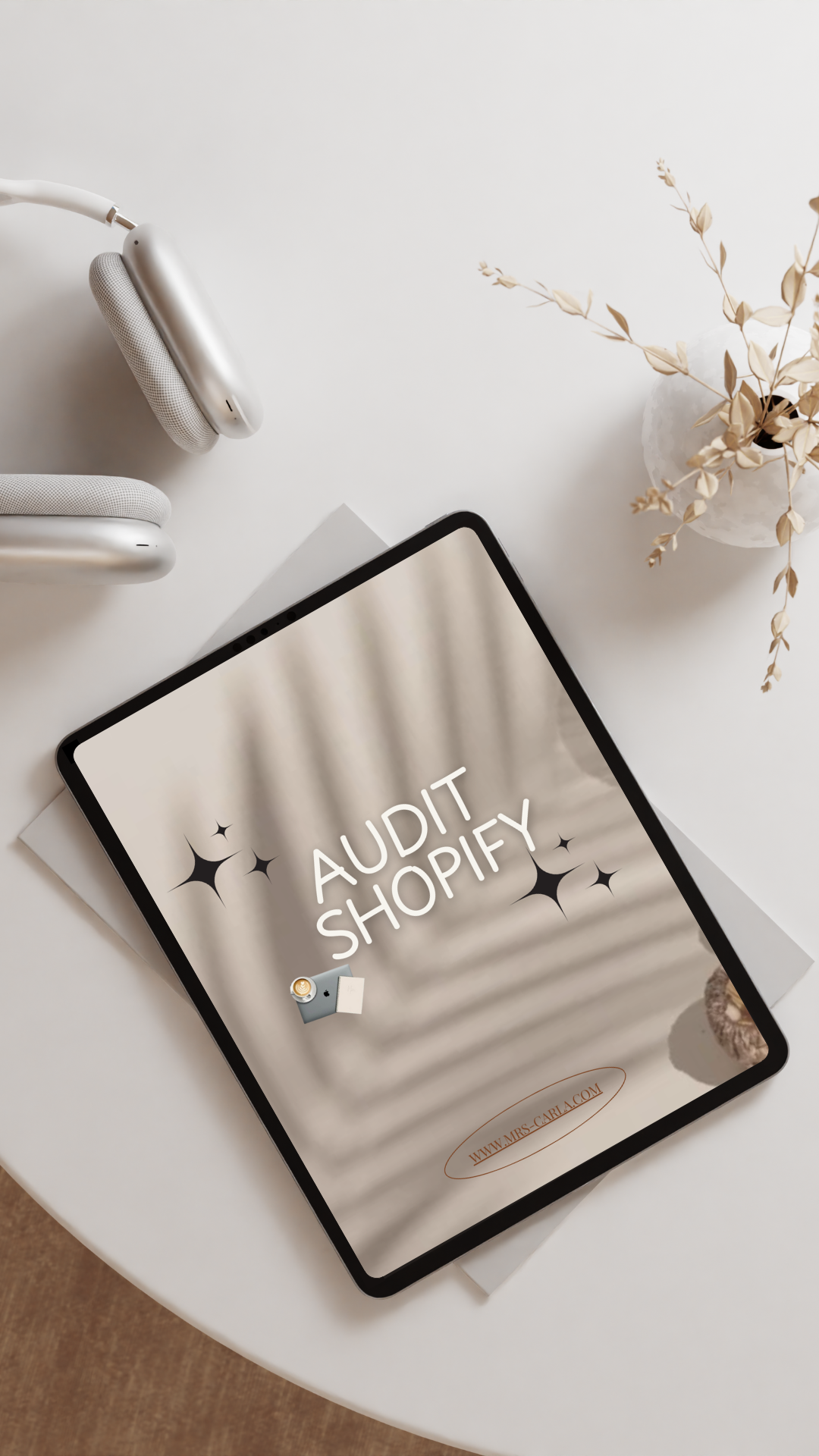 Audit Shopify